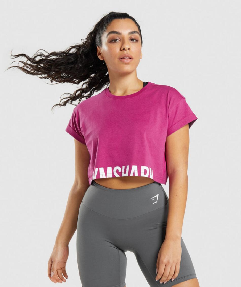 Corp Tops Gymshark Fraction Mujer Rosas | CO 2454NWY